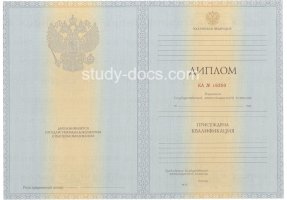Диплом специалиста 2012-2013 в Рыбинске